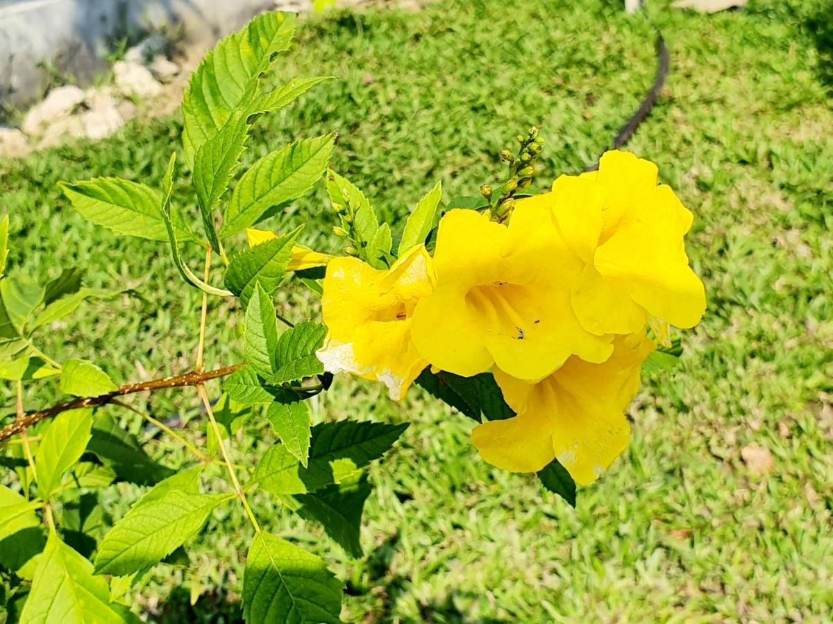 B-Tel Chomthong Resort Chiang Mai تشوم تونغ المظهر الخارجي الصورة