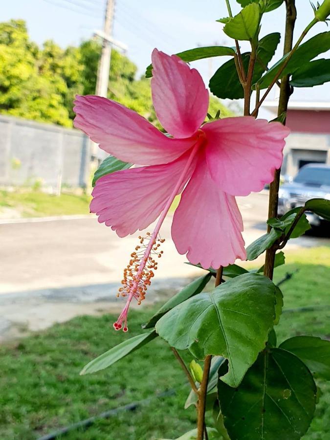 B-Tel Chomthong Resort Chiang Mai تشوم تونغ المظهر الخارجي الصورة